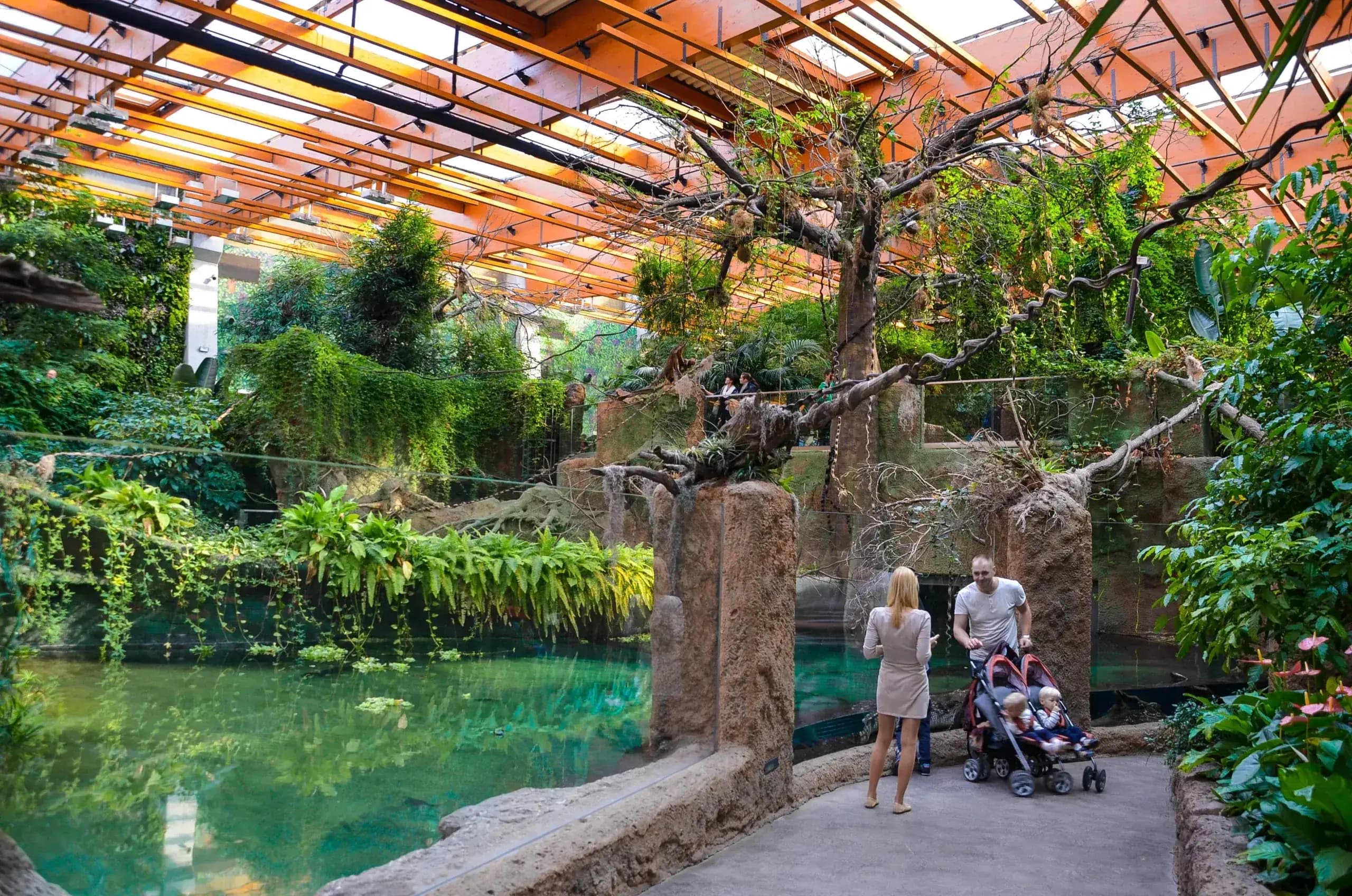Oceanarium ZOO Wrocław, Afrykarium in Wroclaw
